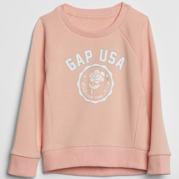 GAP Other - Toddler Graphic Crewneck Sweatshirt 2T